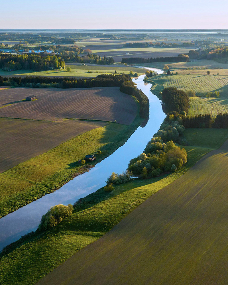 Semiz ayollarning yalangoch mushuklari